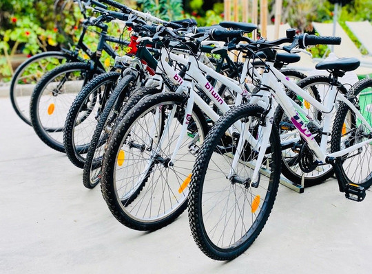 Discover & Explore Gran Canaria Bike Rental Experience-波多黎各必去景点