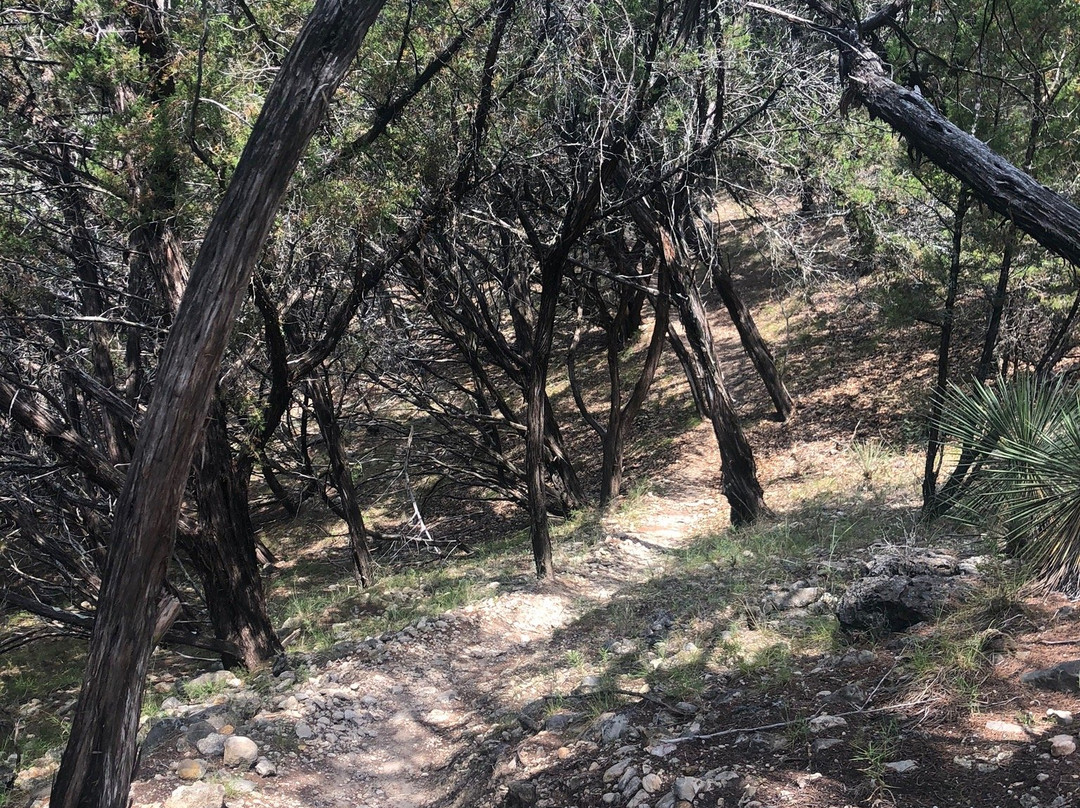 Muleshoe Bend Recreation Area-Spicewood必去景点