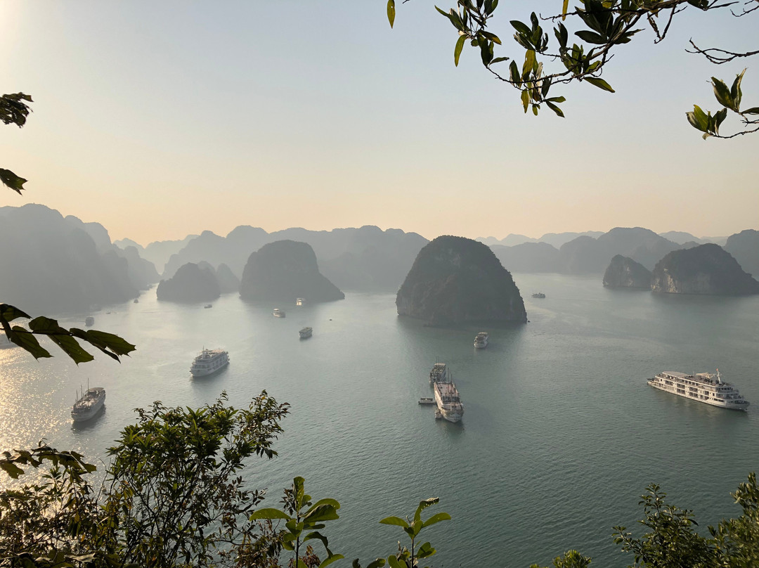 President Cruises-Ha Long City必去景点