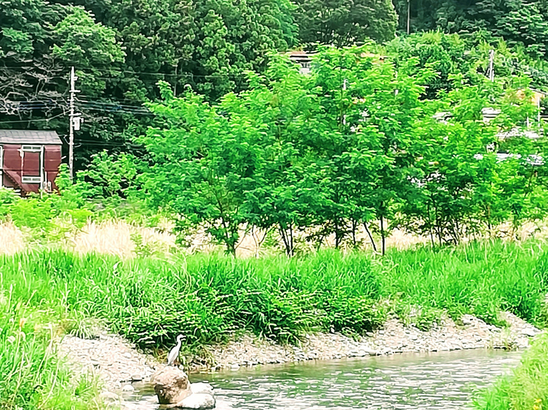 Nakatsu River景点图片