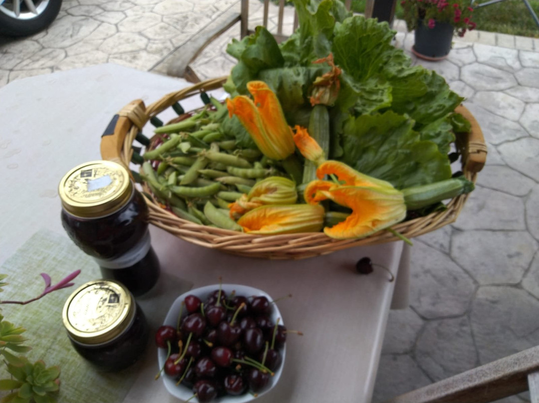 Agriturismo Allo Scoglio - Azienda Agricola主图