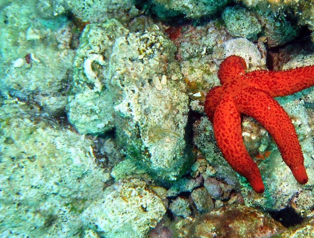Fun Diving Krk景点图片