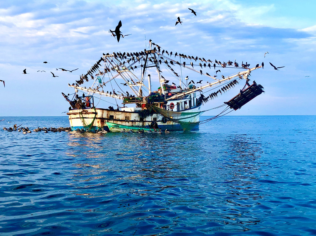 Los Otates旅游攻略图片