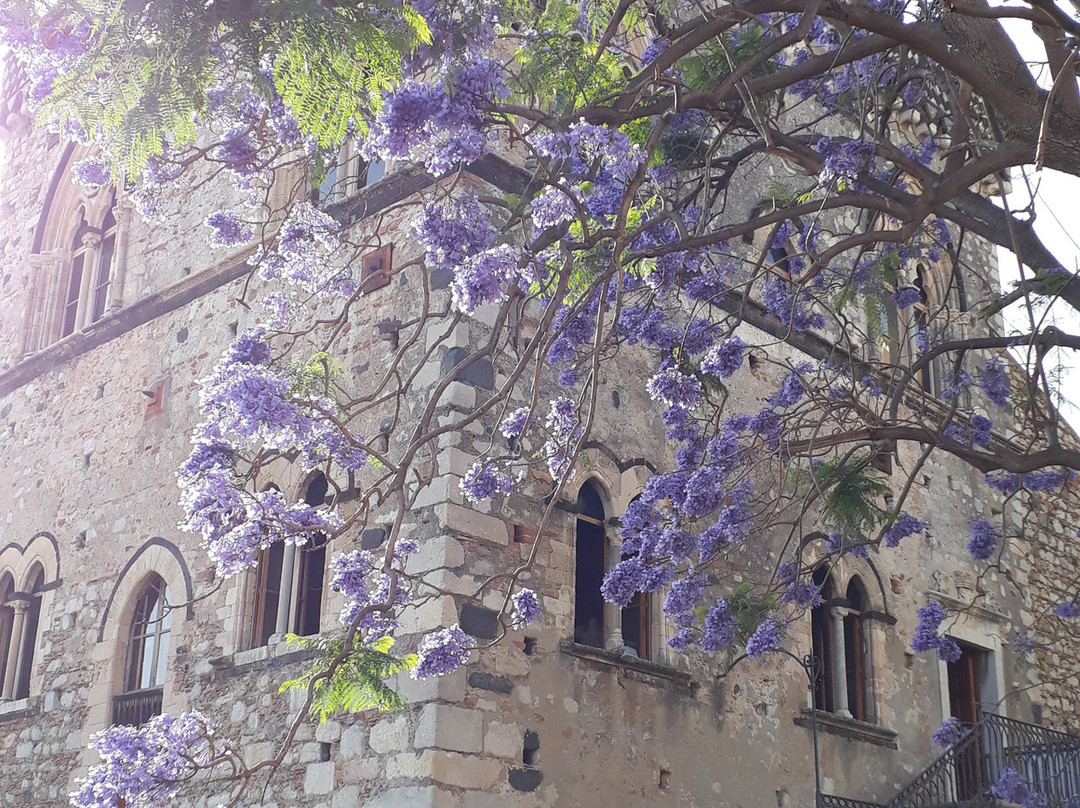Palazzo Duchi di Santo Stefano景点图片