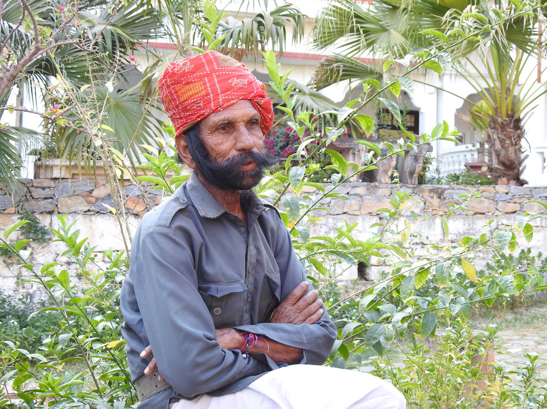 Darbargadh Poshina主图