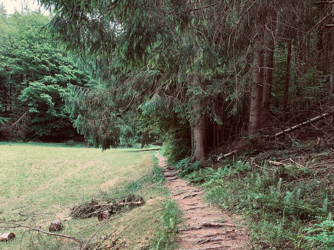 Bärensteig-Bruchweiler-Baerenbach必去景点