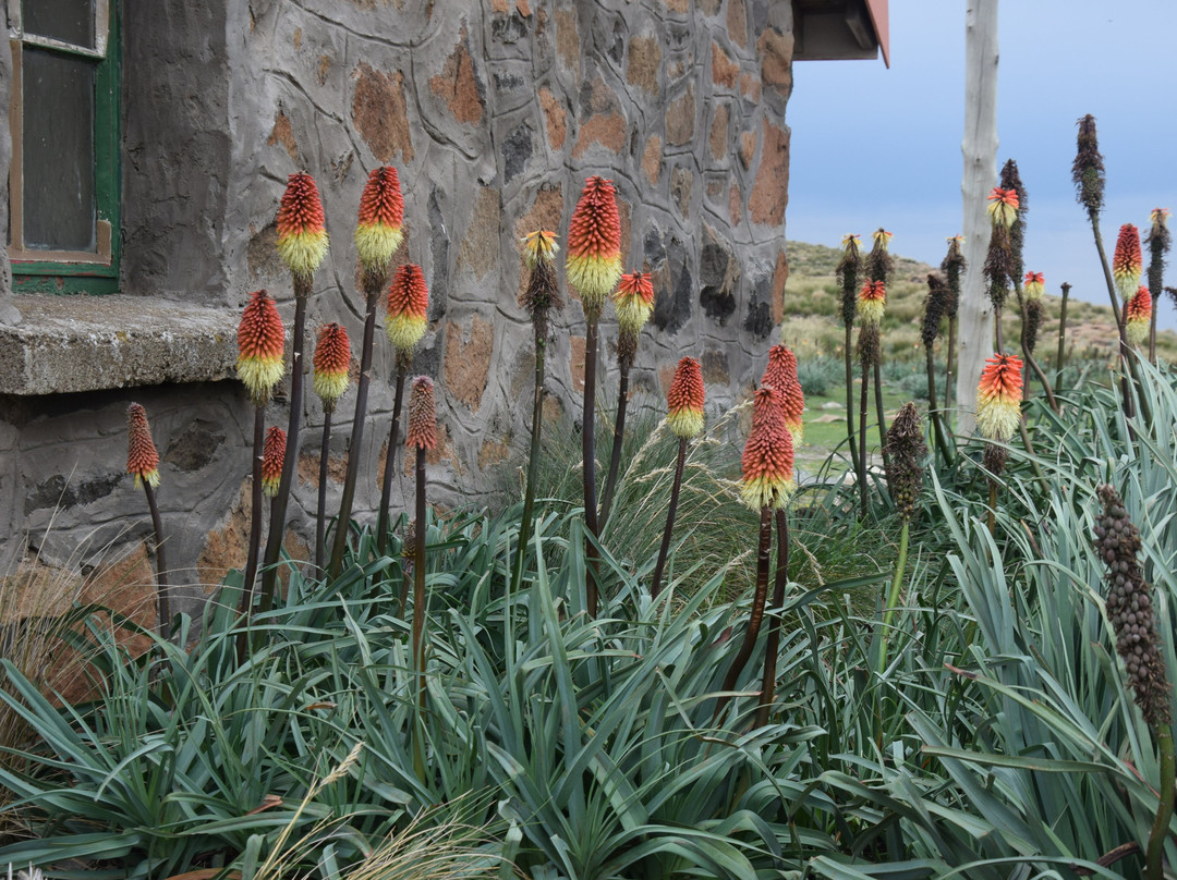 Sani Mountain Escape主图