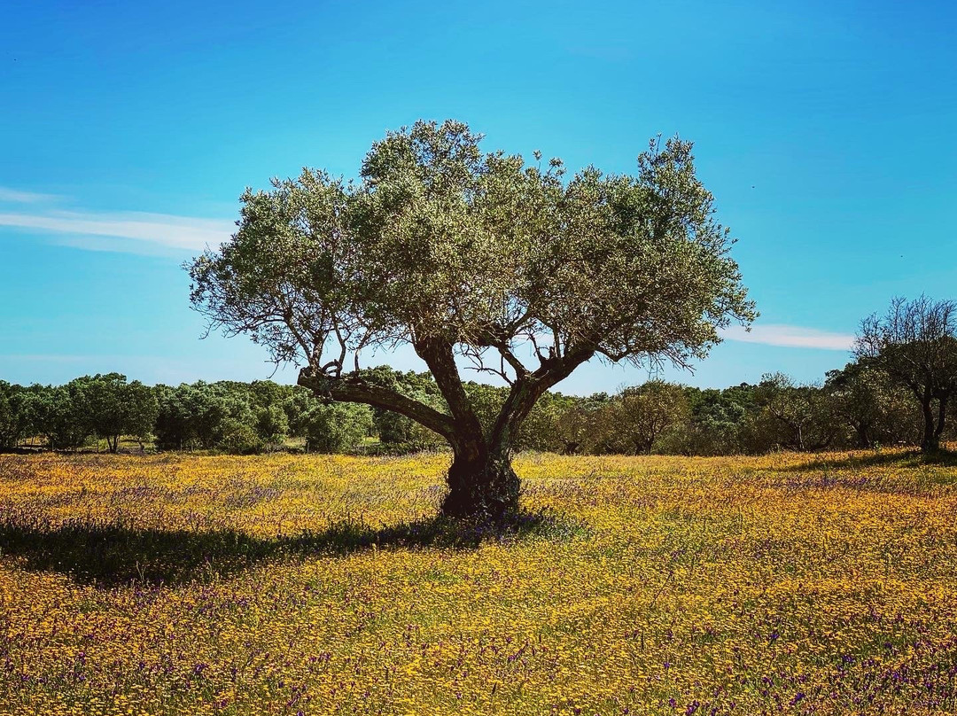Quinta do Cano主图