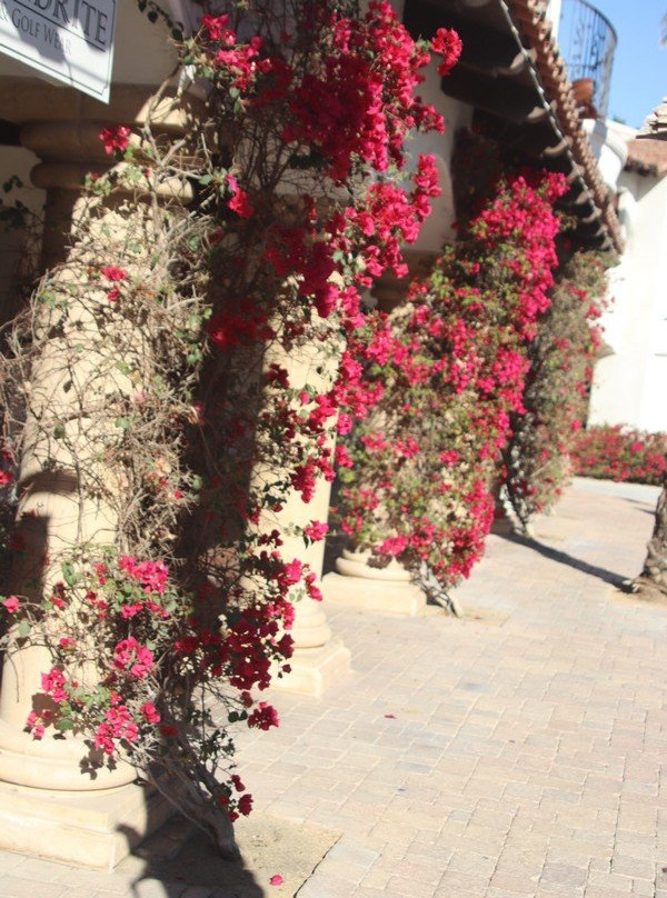 Old Town La Quinta-拉金塔必去景点