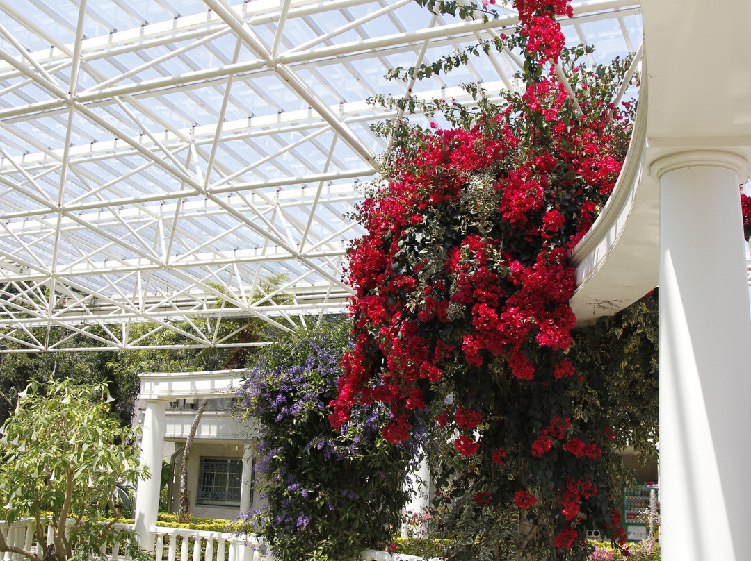 Flower Park Kagoshima-指宿市必去景点