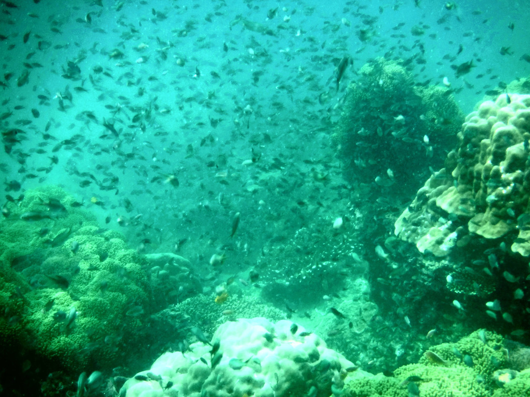 Cocks Comb Island景点图片