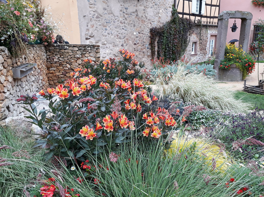 Jardin Medieval景点图片