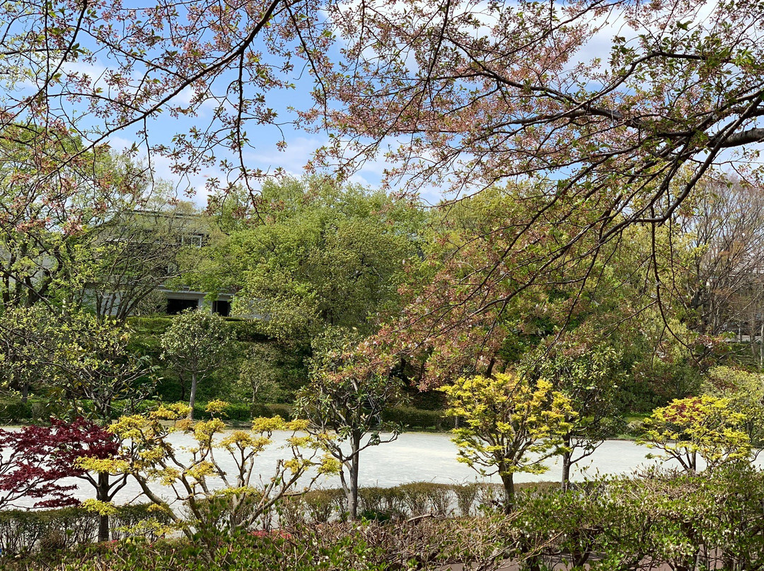 Kanigasawa Park-座间市必去景点