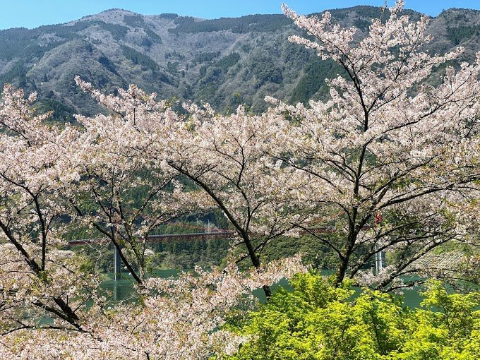 Owatari Dam Bridge-仁淀川町必去景点