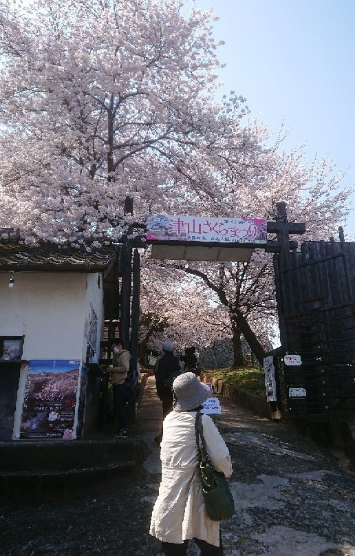 Tsuyama Castle (Kakuzan Park)景点图片