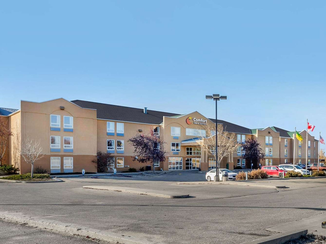 Comfort Inn & Suites主图