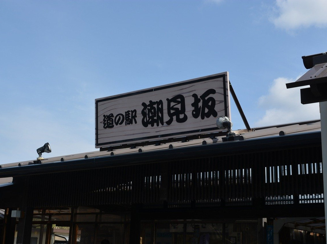 Michi-no-Eki (Roadside Station) Shiomizaka-湖西市必去景点