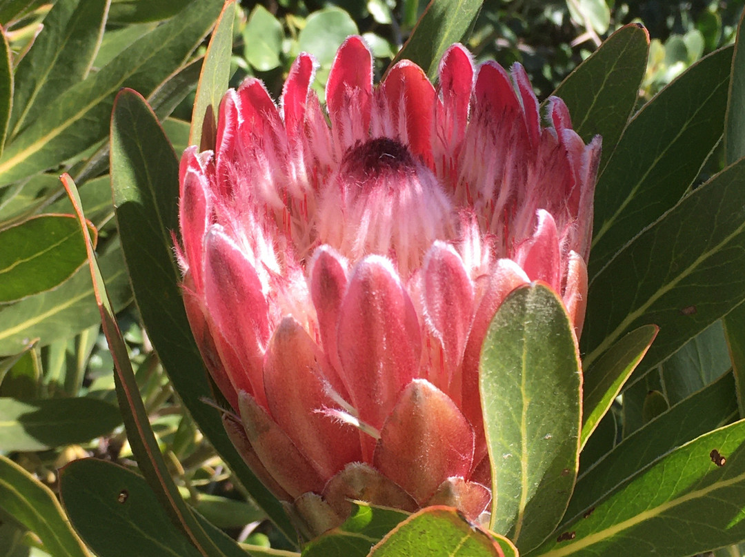 Off The Grid 177主图