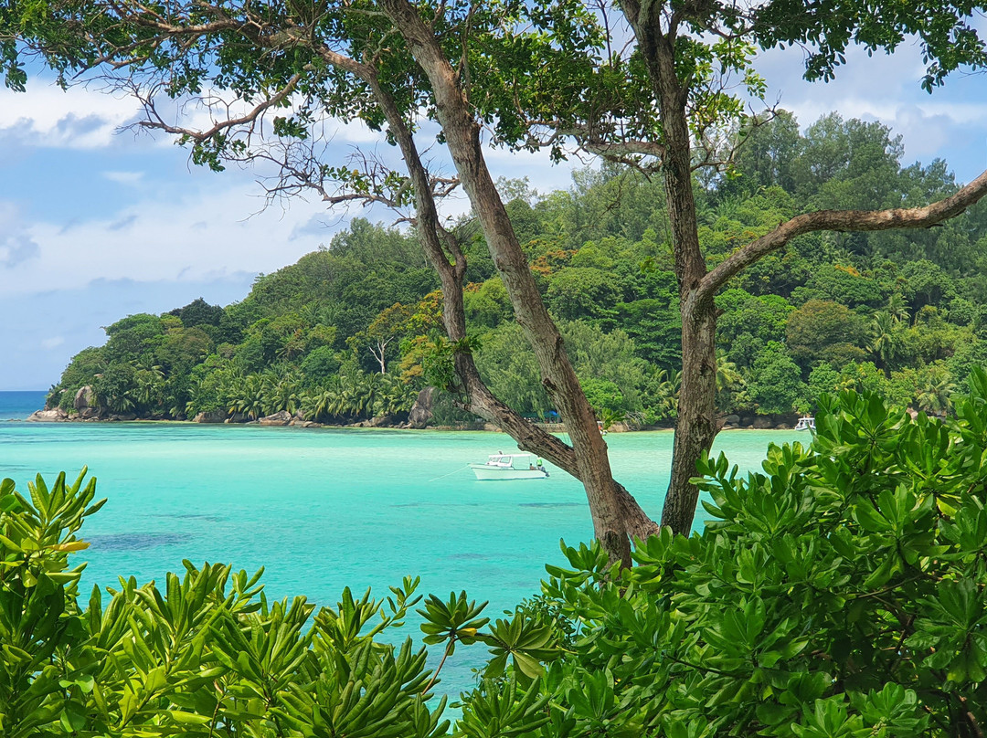 魔法岛度假酒店主图