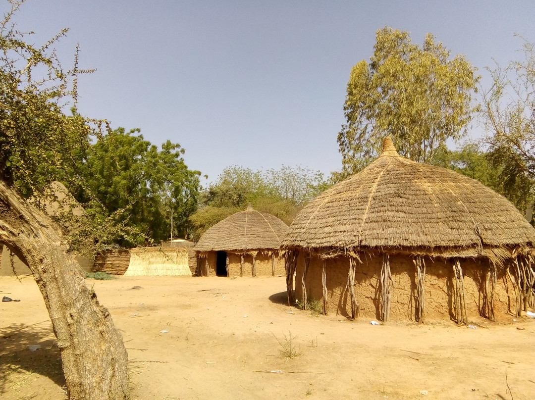 National Museum of Niger (Musée National du Niger)-尼亚美必去景点