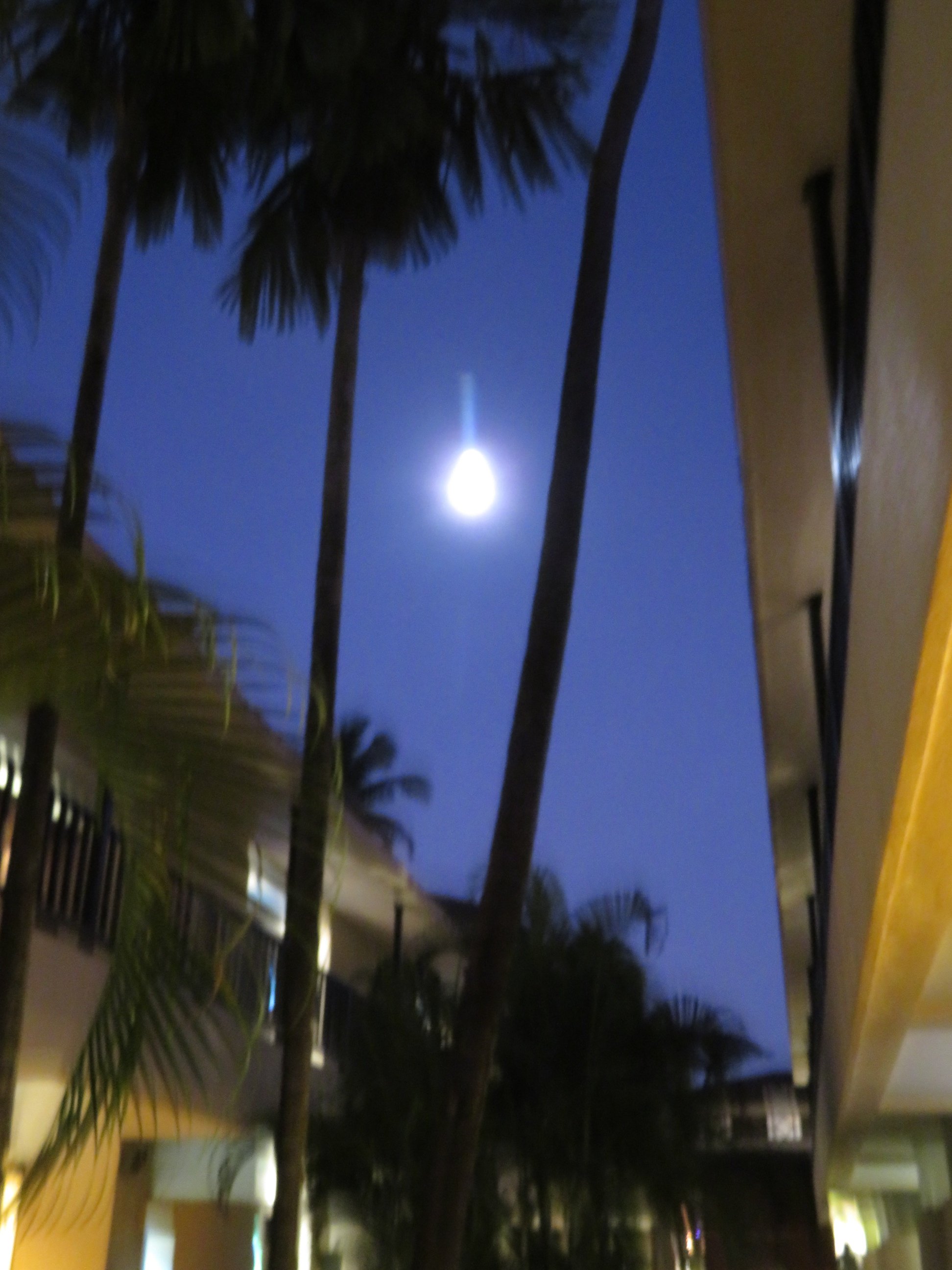 O Hotel Goa, Candolim Beach-浴室