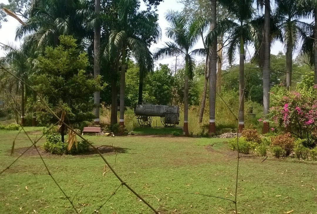 Waghai Botanical Garden景点图片