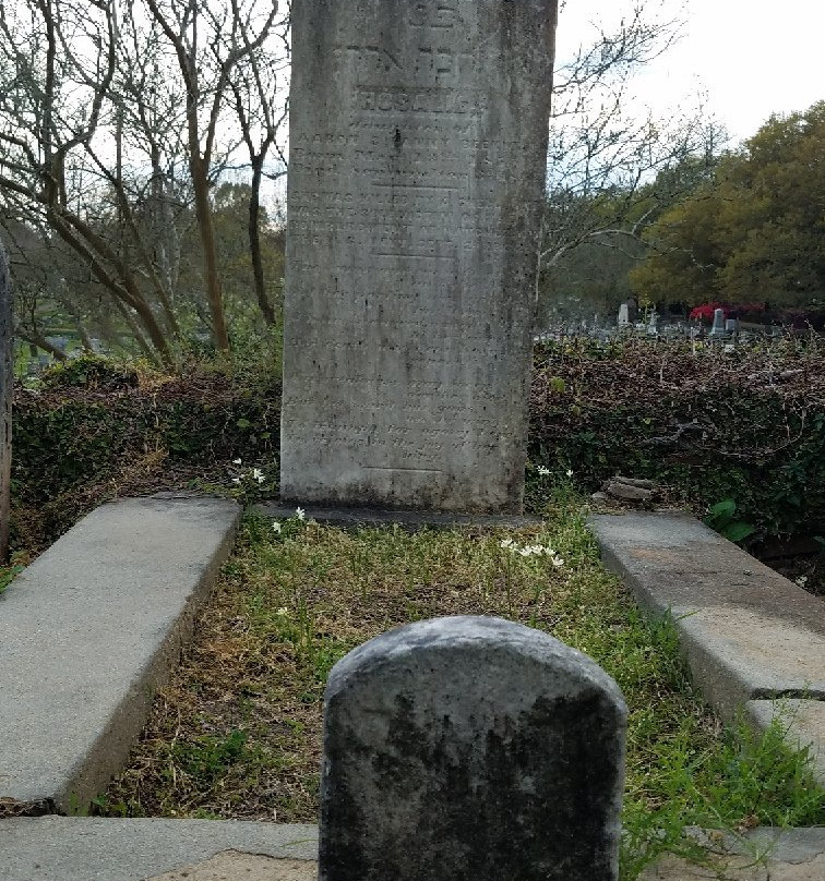 Historic Natchez Cemetery景点图片