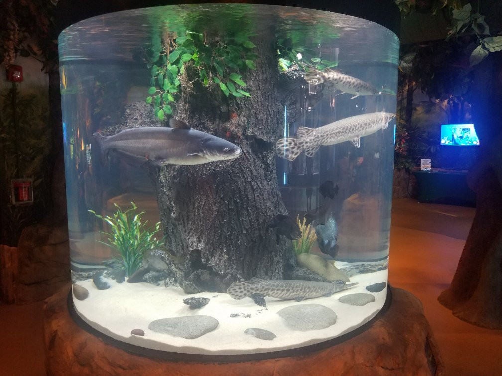 Stingray Reef 215 Kipp Ave-克马必去景点