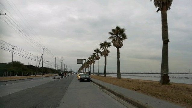 Chibafornia-袖浦市必去景点