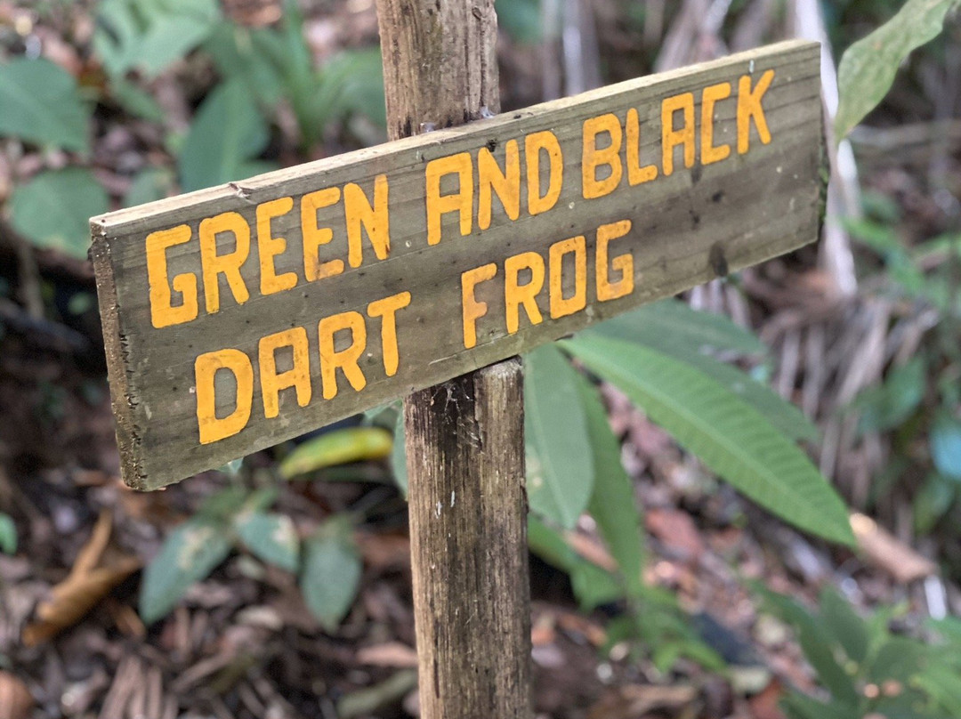 La Palapa Eco Lodge Resort主图