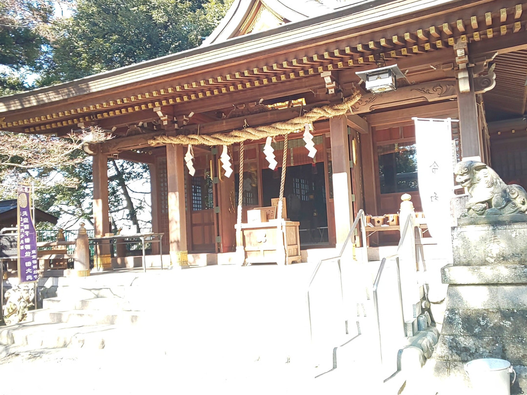 Aso Shrine景点图片