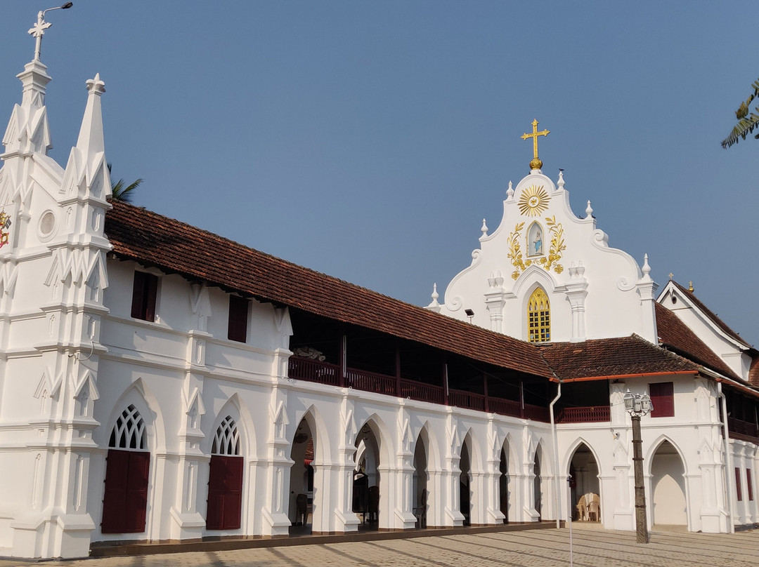 Sunsets and Palm Trees主图