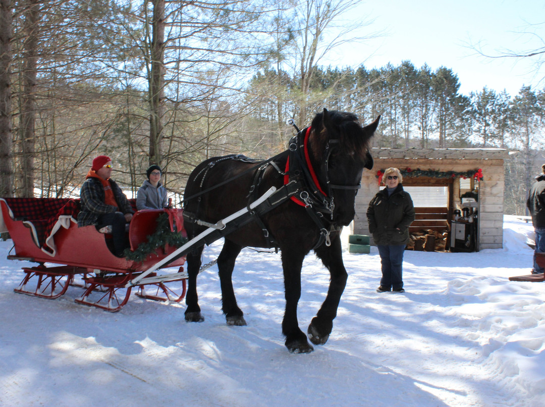 Back of Beyond Equine Centre-亨茨维尔必去景点
