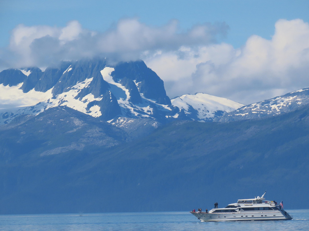 Custom Alaska Cruises, Inc景点图片