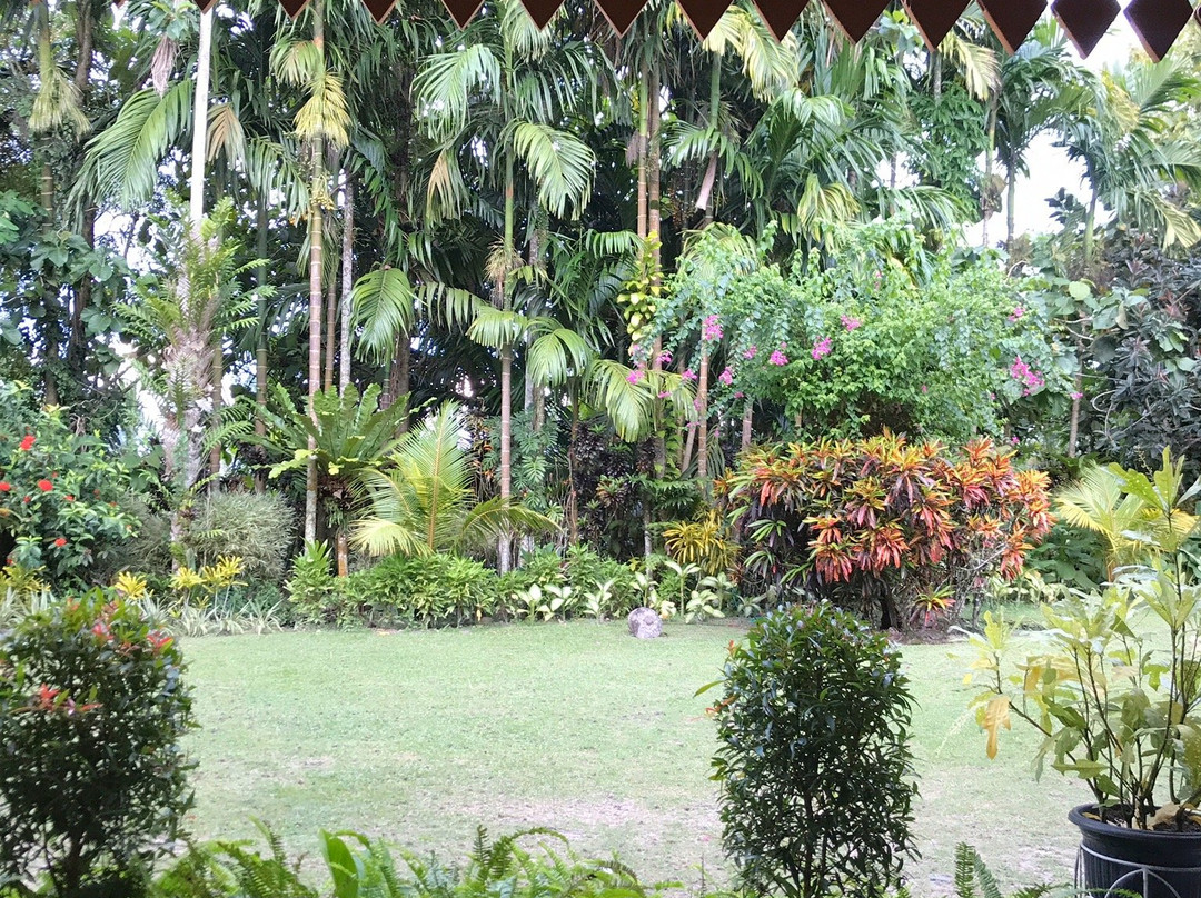 Arsela Hotel Pangkalan Bun主图