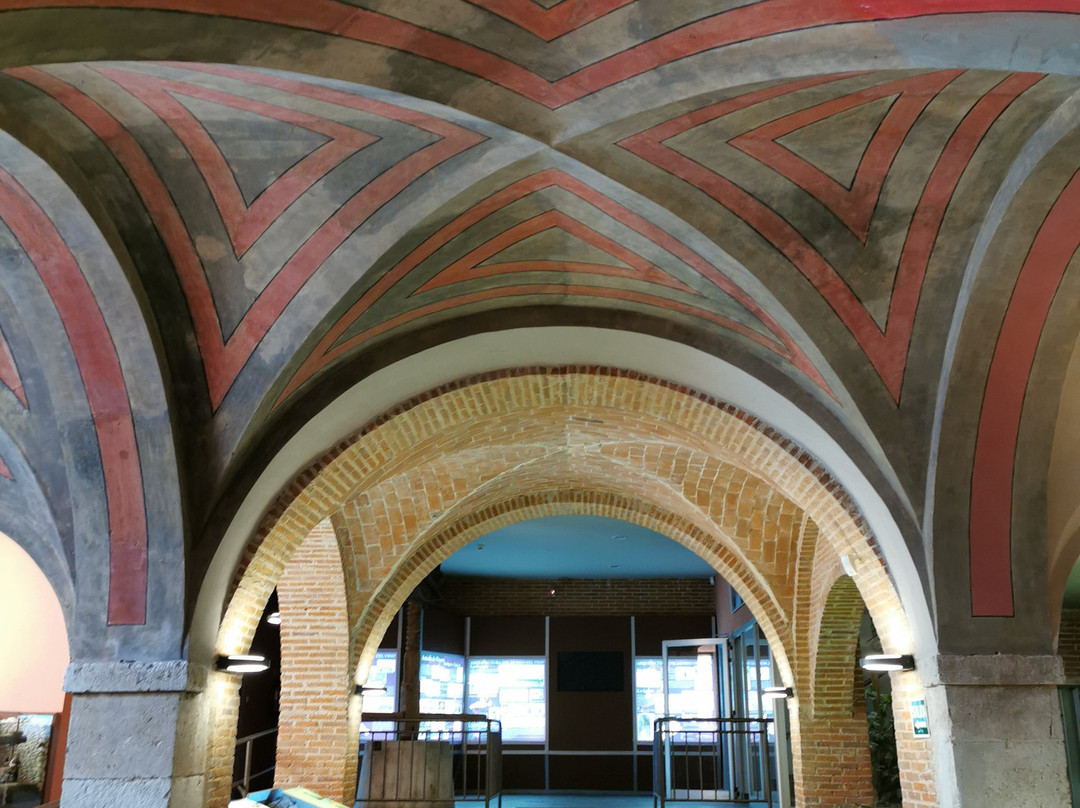 CIAVIN Bodega de las Animas景点图片