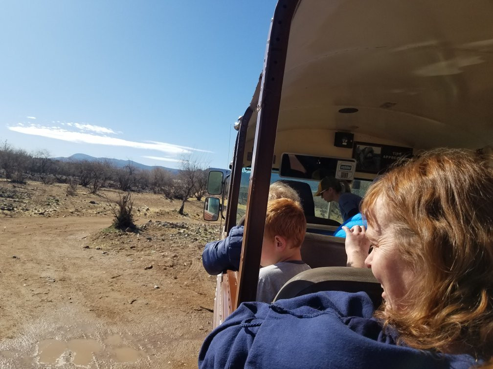 Out Of Africa Wildlife Park-Camp Verde必去景点