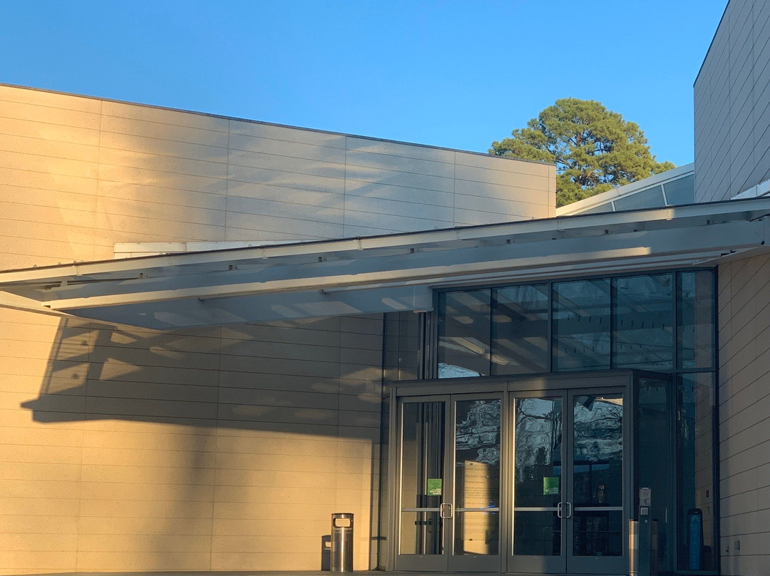 Nasher Museum of Art at Duke University景点图片