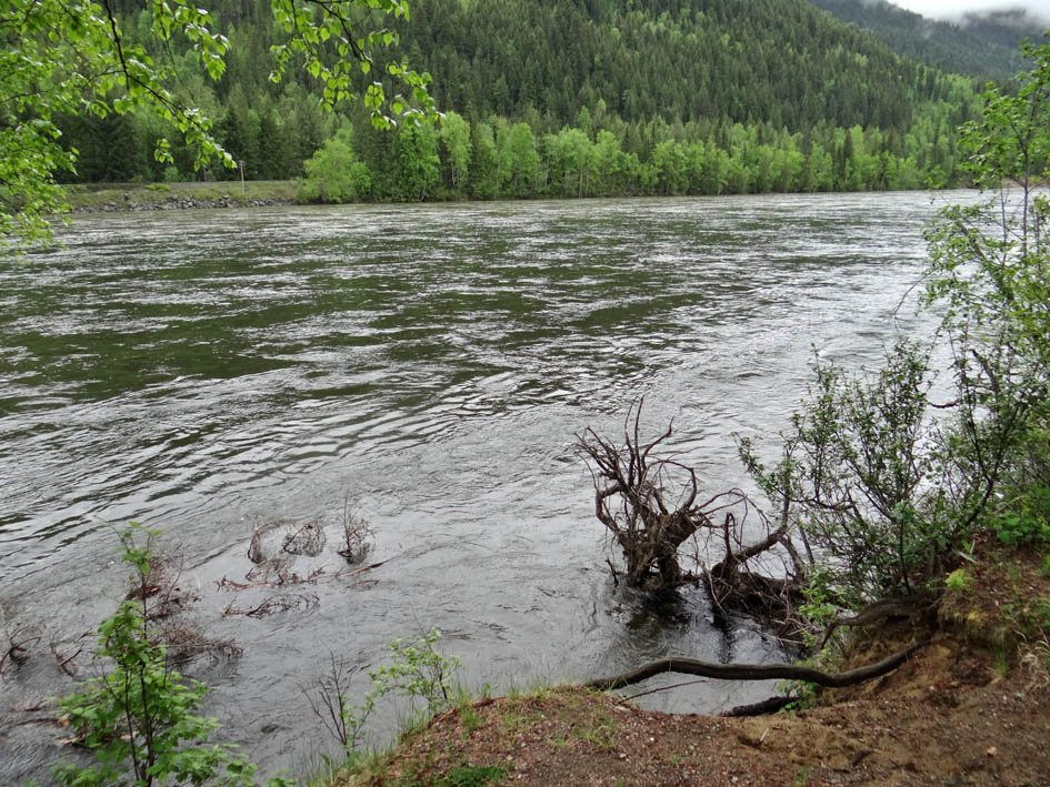 North Thompson River Provincial Park景点图片