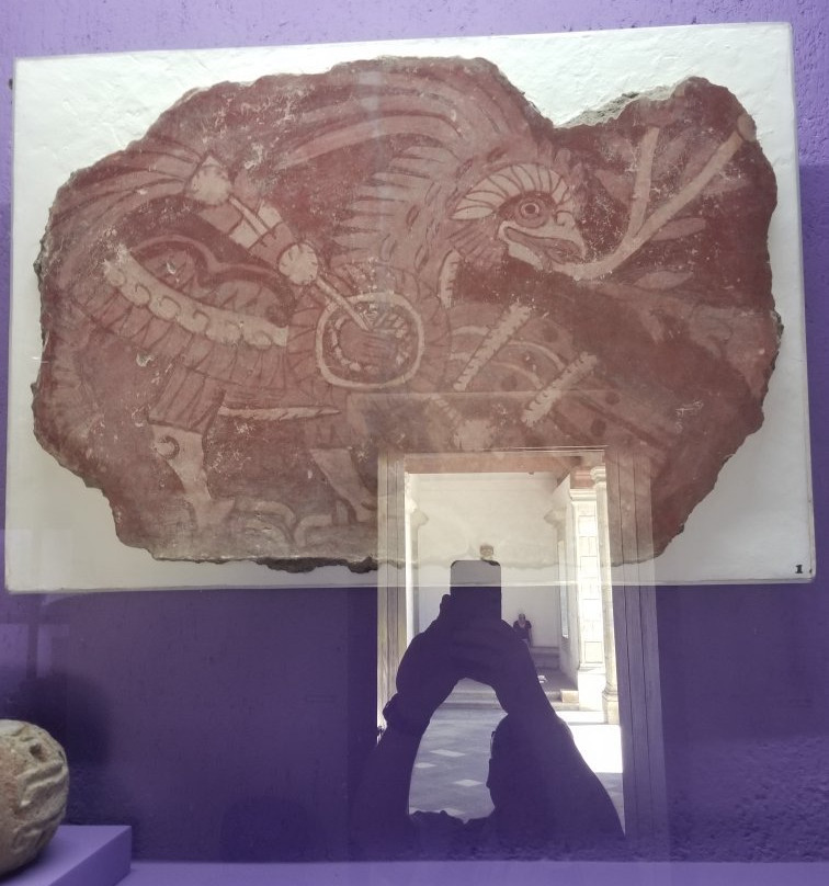 Museo de Arte Prehispánico de México景点图片