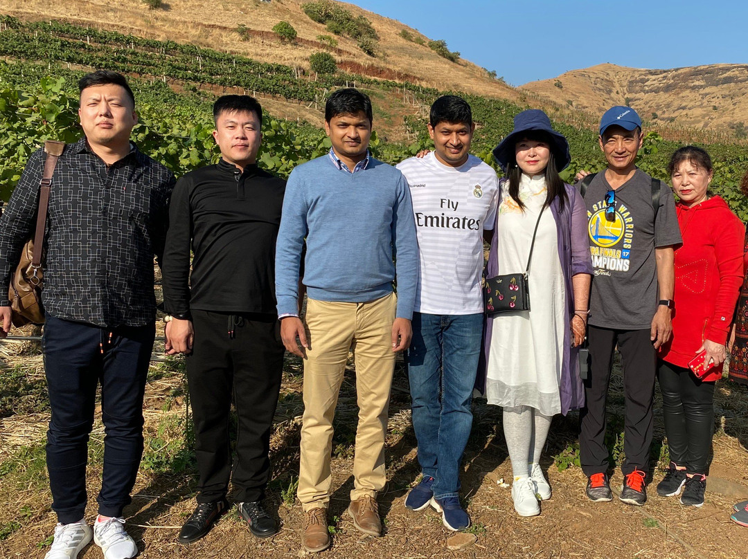 Grover Zampa Vineyards Nashik-纳西克必去景点