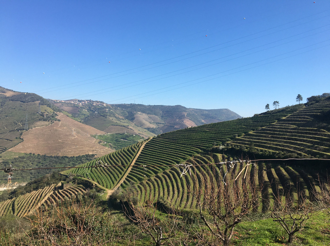 Quinta de Casaldronho Wine Hotel主图