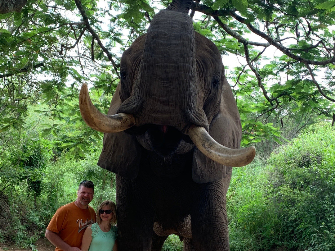 Go Touch Down Travel and Tours-萨拉索塔必去景点