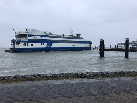 Landal Vlieduyn主图