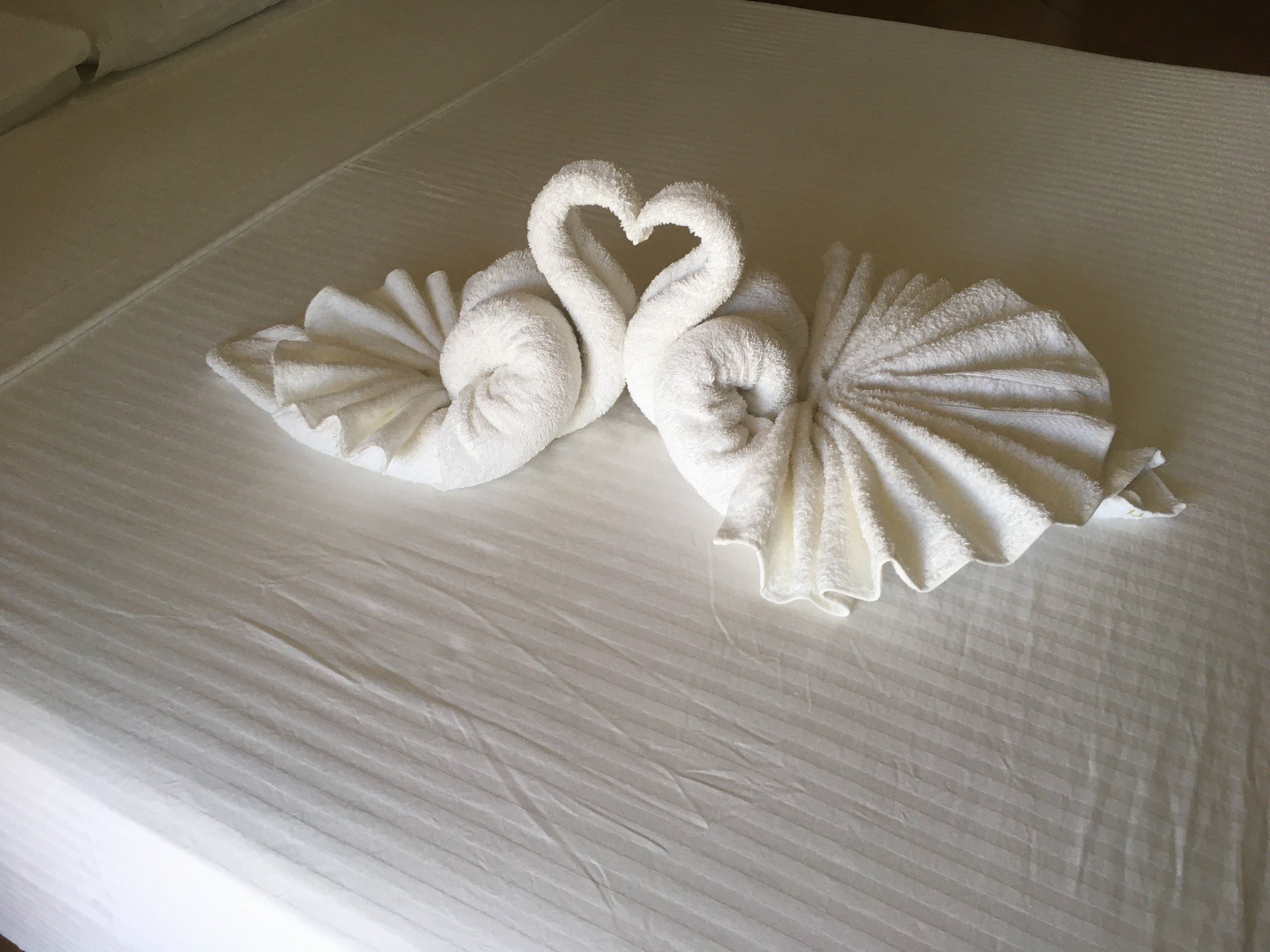 龟背酒店度假村-官方