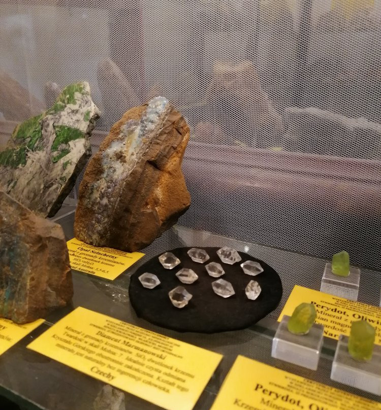 Mineralogical Museum景点图片