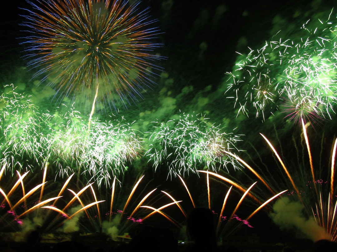 Tsuchiura All Japan Fireworks Competition-土浦市必去景点