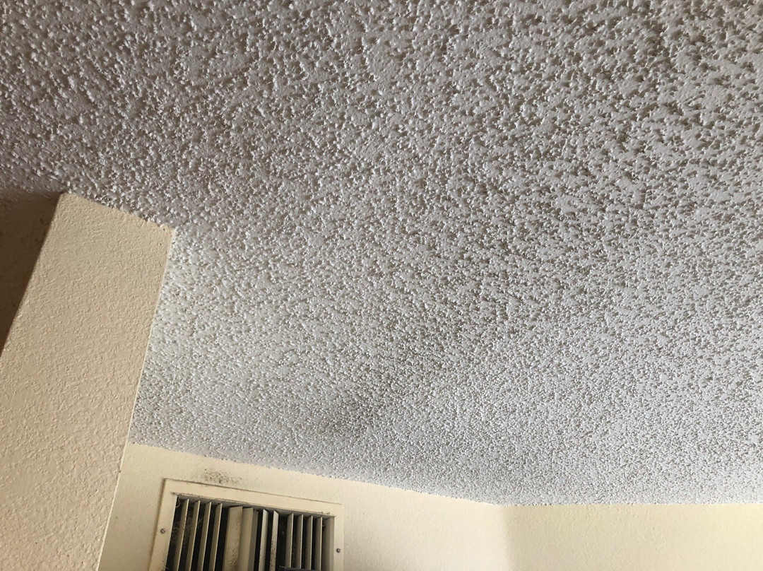 The Palms Hotel and Villas主图