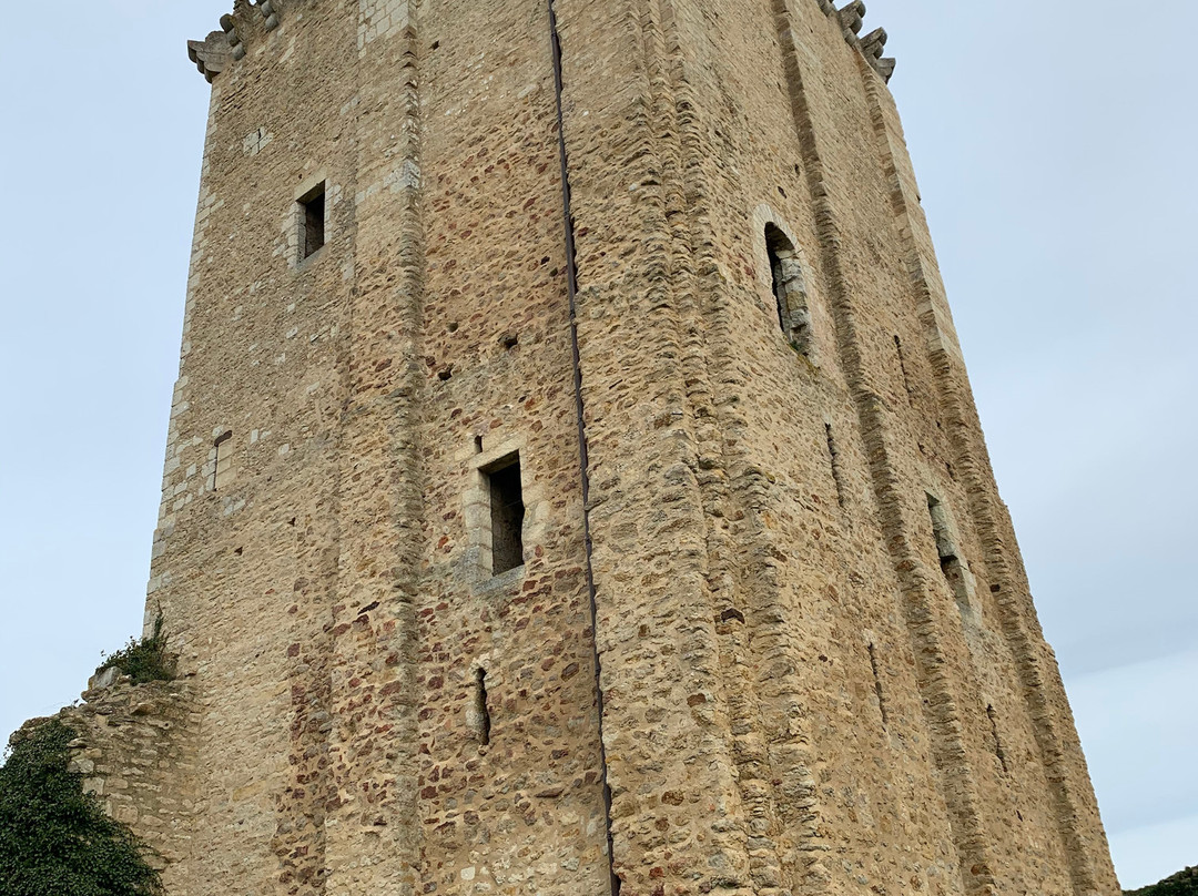 Donjon de Moncontour景点图片