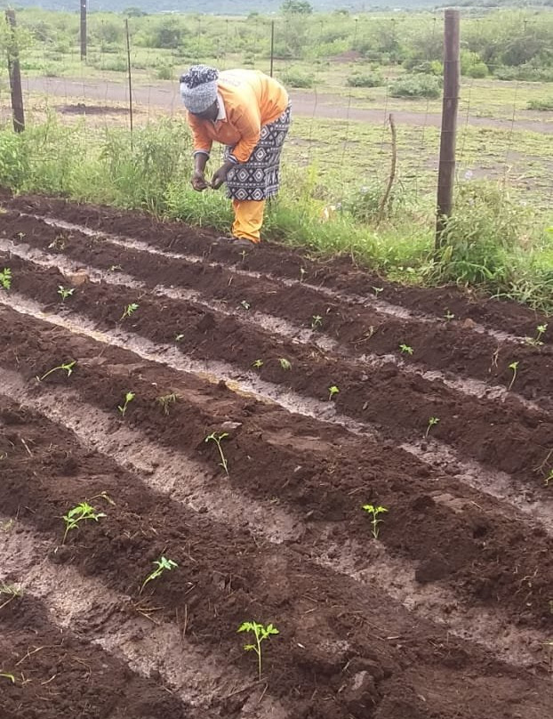 Kruger to Canyons Biosphere Region-霍德斯普鲁特必去景点